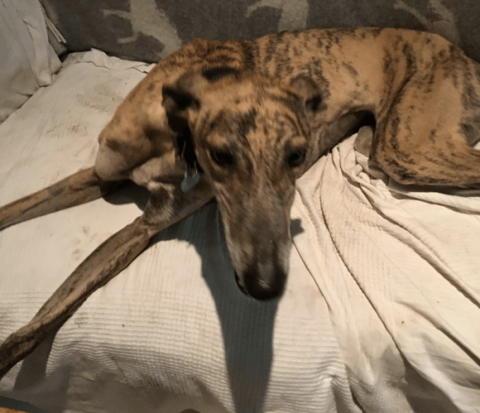 12. The excitement we see in their eyes is priceless.