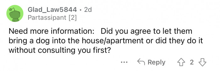 It depends on whether OP knew about the dog beforehand.