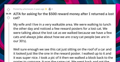 Cat Owners Shame The Person Who Found Their Cat For Taking The $500 Reward They Promised In The Missing Cat Posters
