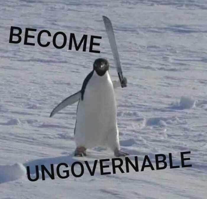 49. Who gave the penguins machetes?