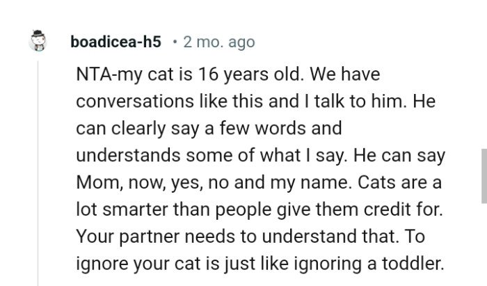 Cats Are a Lot Smarter Than People