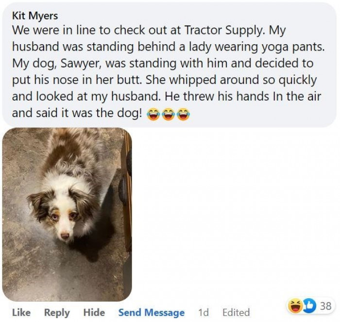 8. Sniffing out trouble