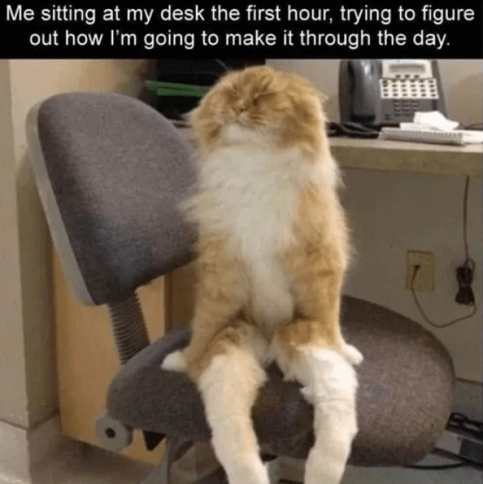 11. It's an important thing to figure out