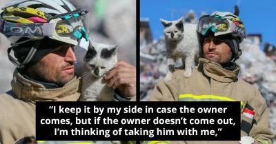 Terrified Cat Gets Rescued From Earthquake Rubble, Chooses To Stick With The Firefighter That Saved It