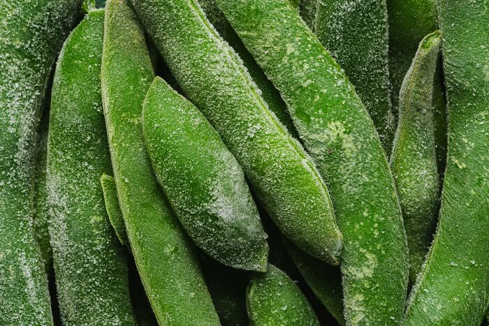 4. You know how you worry about getting your frozen and refrigerated groceries home and put away before they spoil?