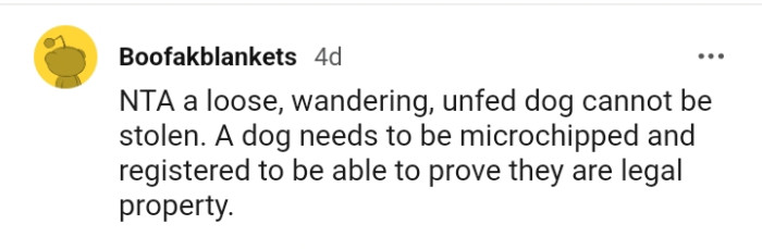 A dog needs to be microchipped and registered