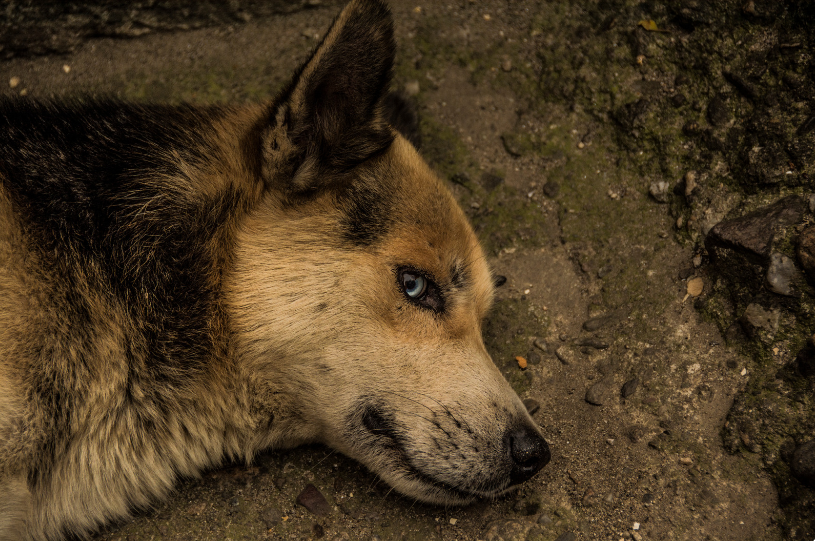 There will always be authorities who can take care of this kind of issue. The OP just needs to do some research about the next best steps.