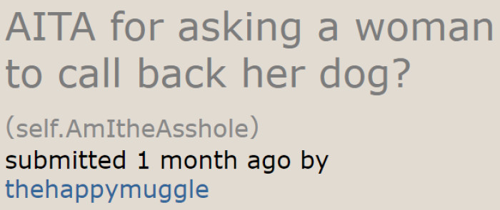 After an encounter with an irresponsible dog owner, the OP decided to seek judgment from the community about the situation.