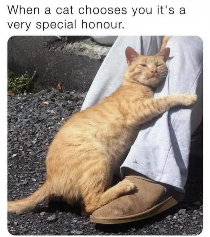 18. When you know you've been specially honored...