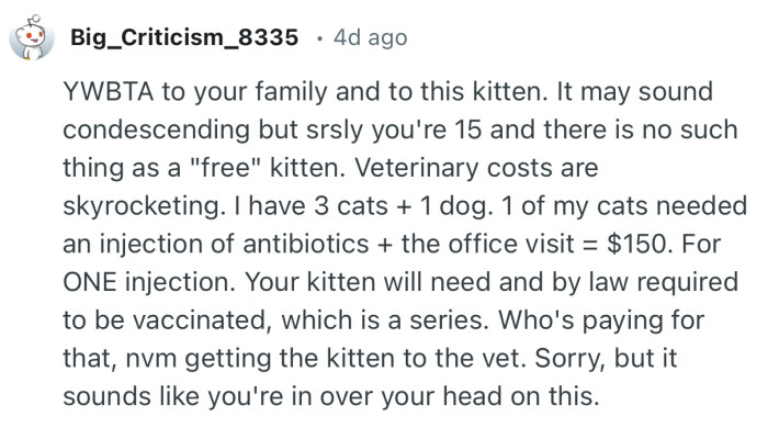 “YWBTA to your family and to this kitten. It may sound condescending but srsly you're 15 and there is no such thing as a ‘free’ kitten.”