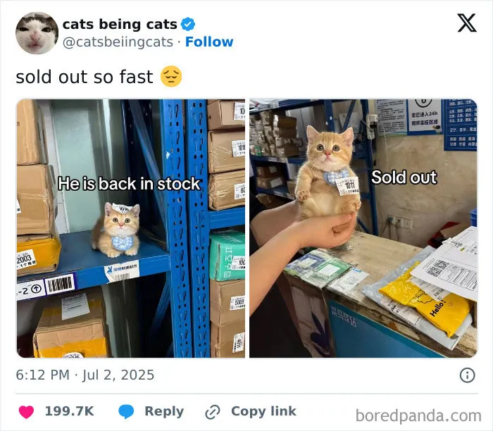 16. Back in stock for five minutes, already causing inflation.