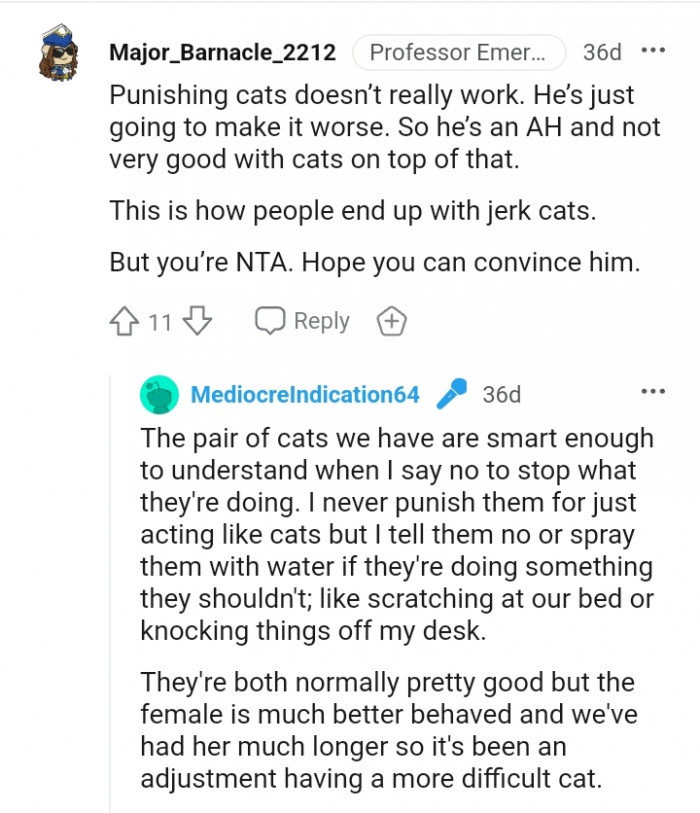 This is how people end up with cats that are jerks