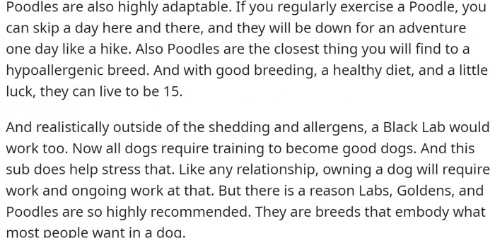 Labs, Goldens, and Poodles are not the most popular without a reason: