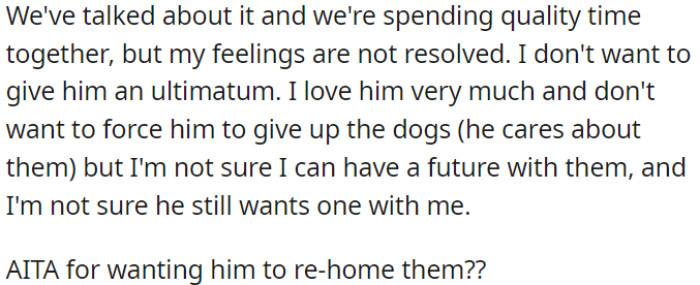 OP's feelings are unresolved; she is unsure about their future due to the dogs.