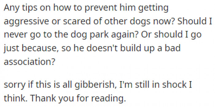 He turned to the people of Reddit for tips because he didn't know how his dog would behave after such a terrible event.