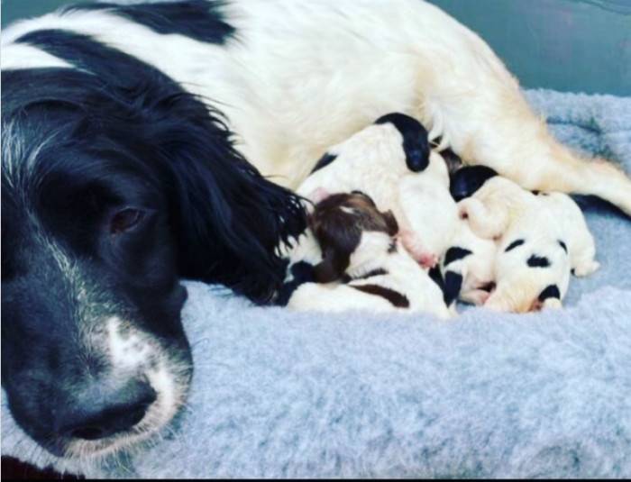 31. Those spots 😍