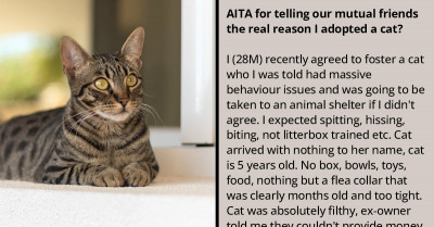 This Guy Saved A Kitty From A Terrible Owner But Felt Guilty About Exposing The Ex-Owner