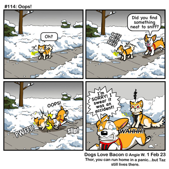 Dog looks unimpressed as owner tries tricking her into a bath