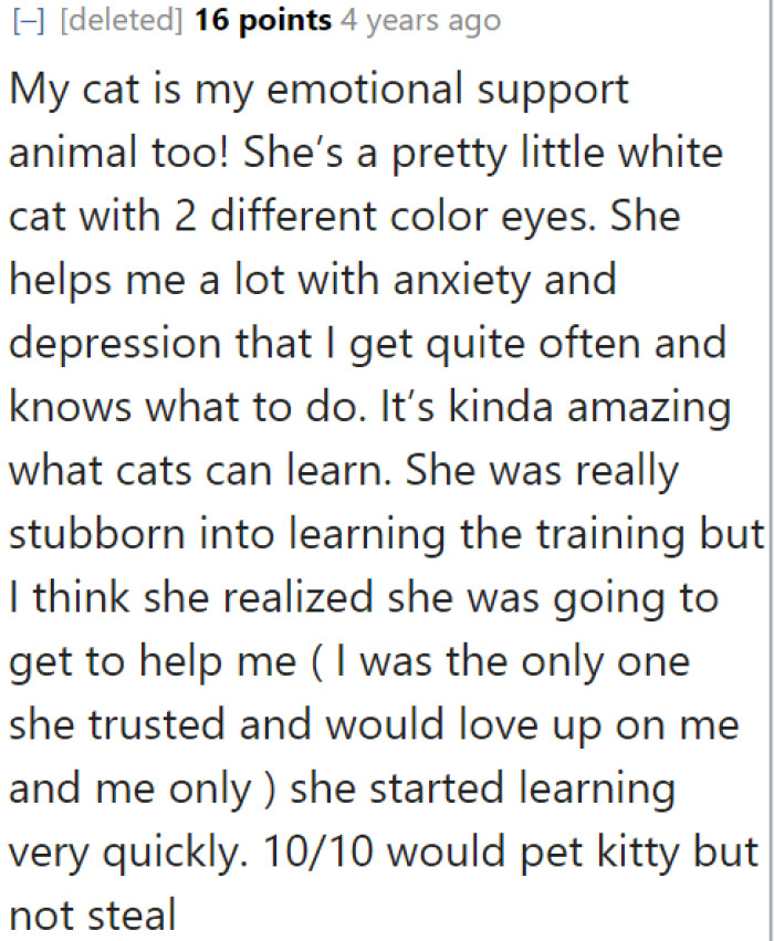 Others could relate to the OP, as they also consider their cats to be their emotional support.