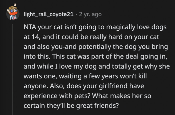 Dogs and cats can learn how to get along, but there are cases where that is not possible