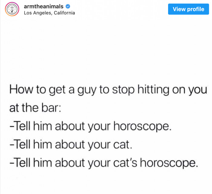 7. A party tip that shows how much of a cat lover you are.