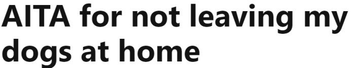 Woman’s rescue dog with high energy, anxious expression near backyard BBQ setup