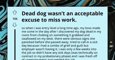 Boss Tells Grieving Employee To 'Man Up' And Leave Behind Deceased Dog