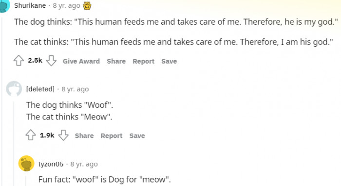 5. What the dog thinks versus what the cat thinks