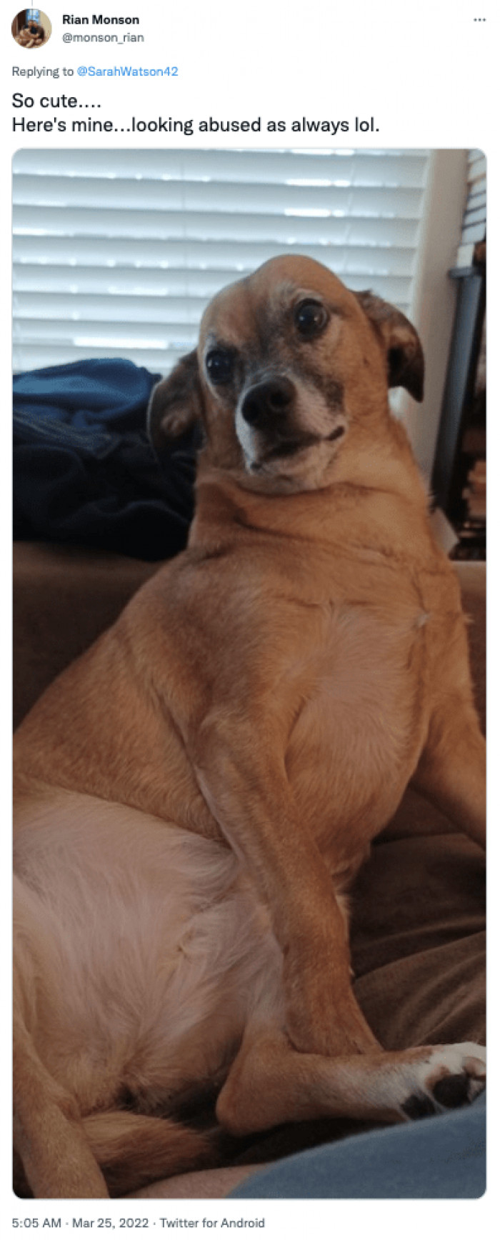 23. We wonder what he's looking at.