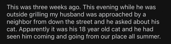Three weeks after the cat passed, a neighbor from down the street showed up at OP's house.
