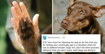 Redditor Asks If They're An A**hole For Not Punishing Their Dog More When It Fights Back Against Their Mom's "Little Rat Dog"