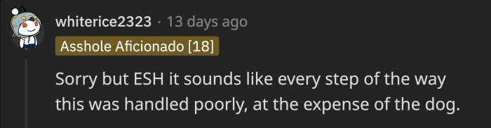 The way this situation spiraled became worse with every step, and the dog was in the middle of it all