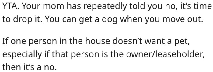 11. Whoever owns the house can decide whether to get a pet.
