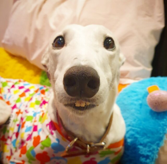 32. Smile for the camera