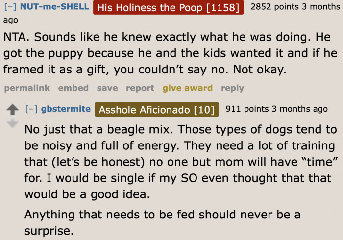 Of all the gifts to be given on Mother's Day, why did it have to be a dog?