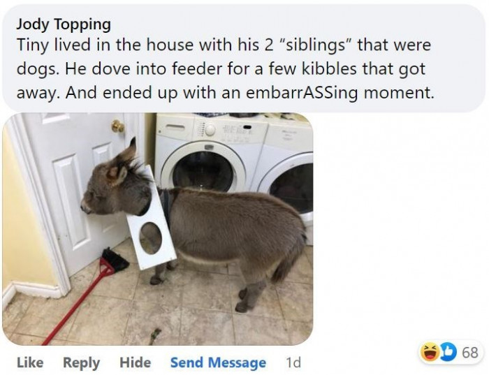 11. Oops...a really embarrassing moment for Tiny