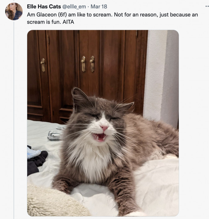 And who’s to break his fun? So again, is Glaceon TA?