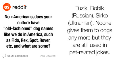 Here Are 20+ Popular “Old-Fashioned” Dog Names From Around The World, According To Reddit