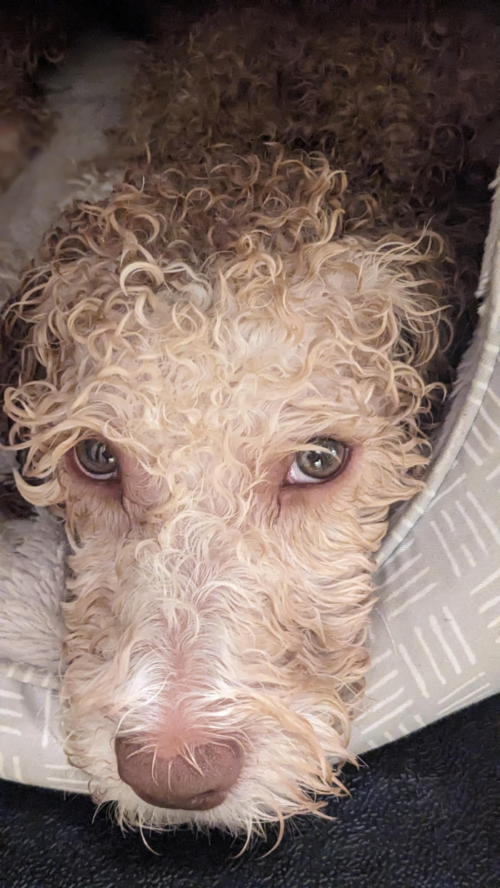 She knows she's cute.