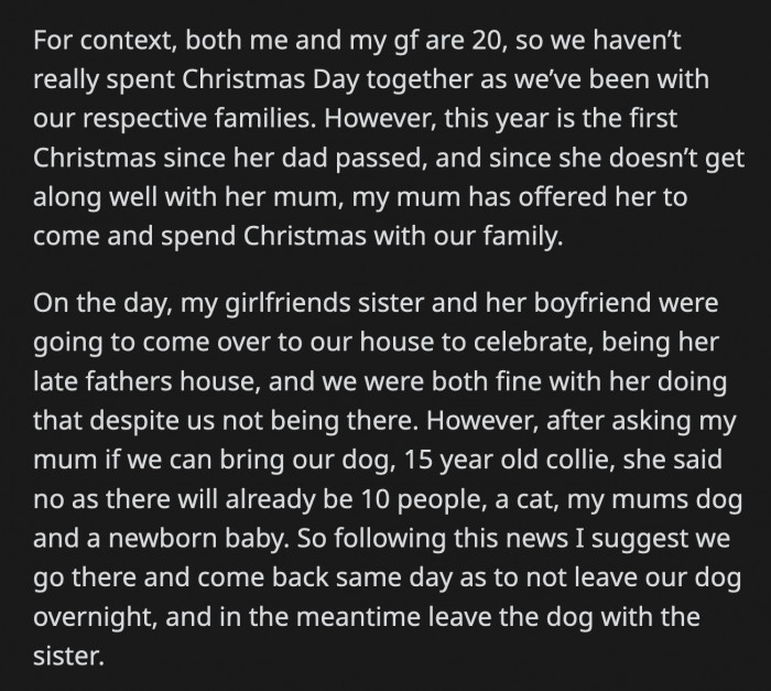 OP thought it was more disrespectful not to spend Christmas with his family just to stay with their dog.