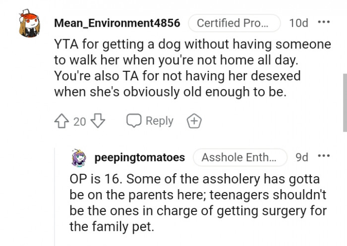 Teenagers should not be the ones in charge of getting surgery for the family pet