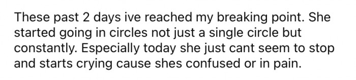 Recently, the dog has become increasingly fragile.