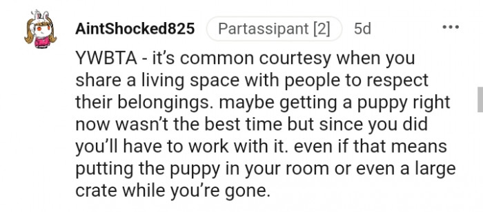 13. Is it the right time for the OP to get a puppy?