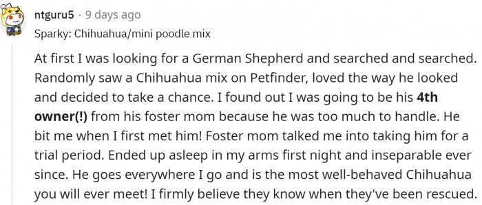 Redditors shared their experiences: