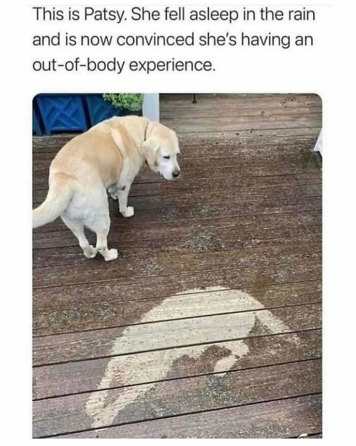 41. The moment you wake up and briefly question your entire existence.