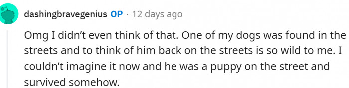 Even tough dogs can handle life on the street; they belong with us. Does that mean they chose us?