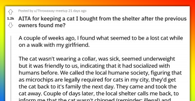 Couple Adopts Stray Cat, Only To Find Out That The Owners Who Lived Near Them Want It Back