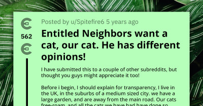 Redditor Shares How Entitled Neighbors Stole Their Cat Only to Dump Him at the Vet's Months Later