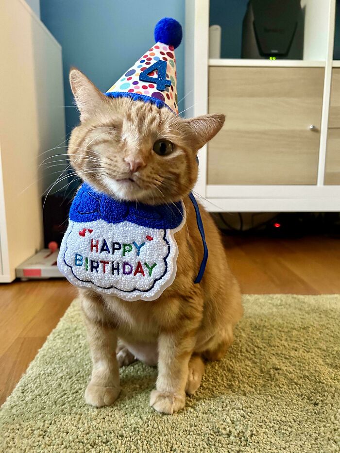 12. Meet Wink-182, and she’s celebrating her 4th-ish birthday today!