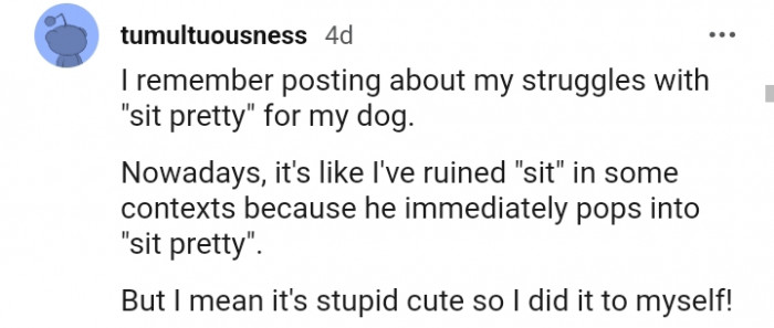 16. Teaching my dog to sit pretty